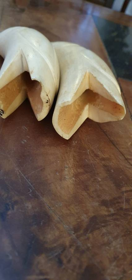 2 X Vintage  Sperm Whale Teeth