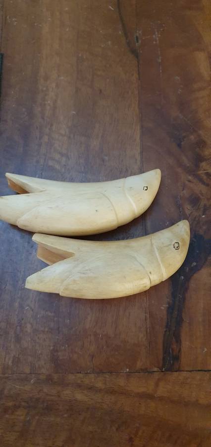 2 X Vintage  Sperm Whale Teeth