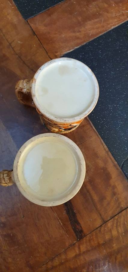 Two Stunning Vintage German Beer Steins