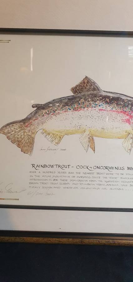 Lain Steward 61/200/2002 Limited Edition Print