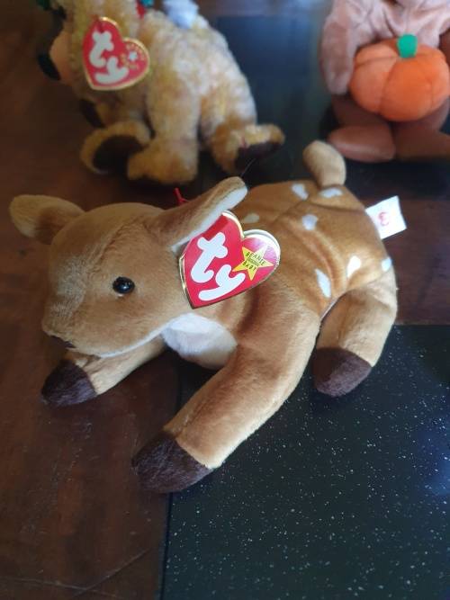 Original Beanie Babies & One Star Bean Oddball
