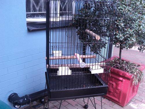 Nice Bird cage