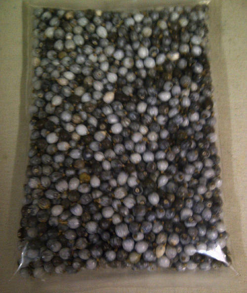 Zulu Teething Beads
