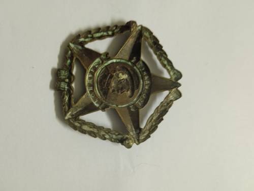 SA Army Forward/Voorwaarts badge