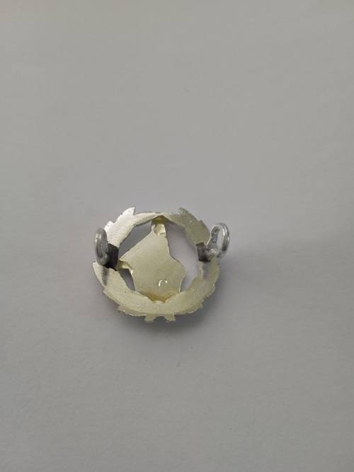 Rhodesia RSAP badge