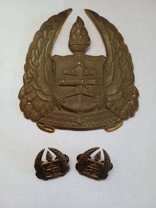 Military Gymnasium brass plaque and 2 x badges