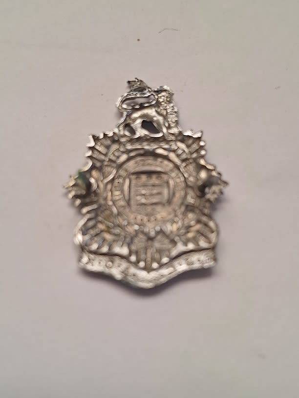 SA Admin Services corps badge