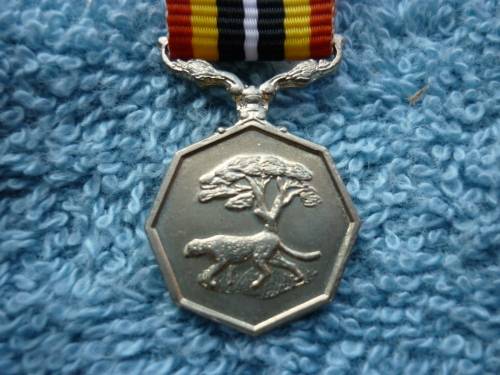 SOUTHERN AFRICA MEDAL - MINIATURE