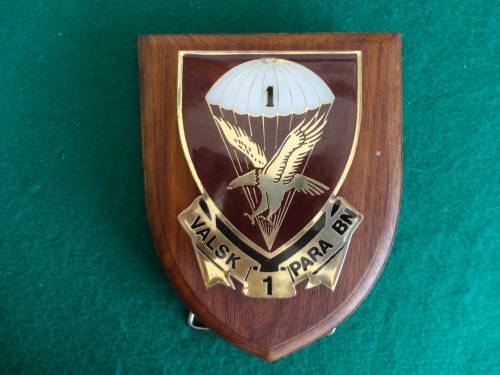 1 PARA 'PARABAT' PLAQUE-NOT FITTED TO BASE YET-TO ALLOW DISPLAY ON A BOARD - ALL PINS INTACT