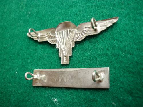 ZIMBABWE PARA WING & COMMANDO TAB = ALL LUGS INTACT