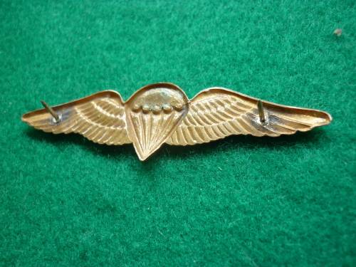 SADF BASIC PARA WING - PINS INTACT