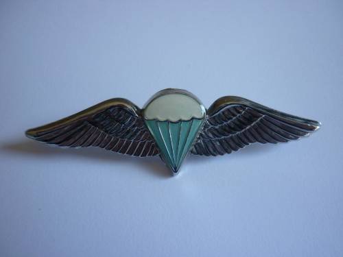 BASIC PARA WING - BOTH PINS INTACT