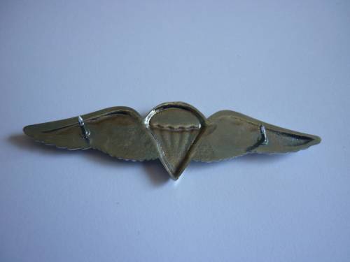 BASIC PARA WING - BOTH PINS INTACT