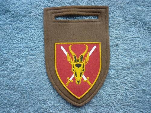 CHIEF OF THE ARMY RUBBERISED FLASH - PIN INTACT