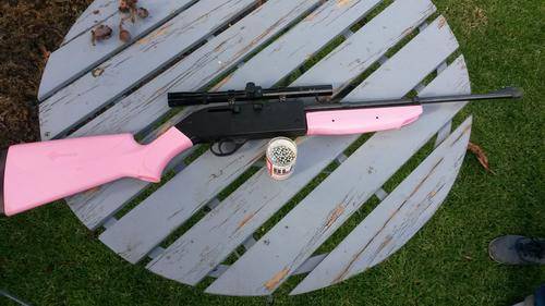 Crosman Pumpmaster 760 BB / Pellet rifle