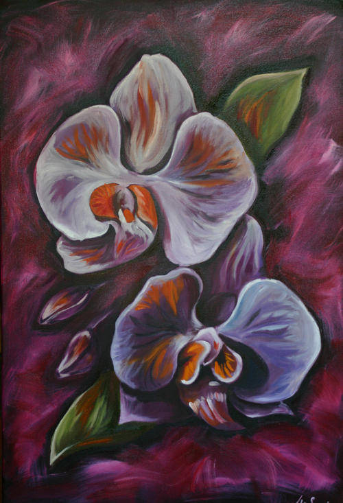PURPLE ORCHIDS