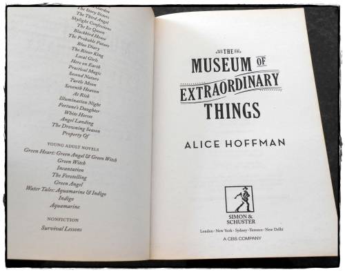 ALICE HOFFMAN - The Museum of Extraordinary Things - SimonandSchuster Paperback - NEW*