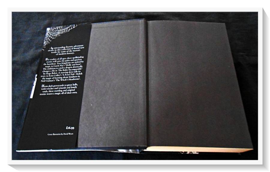 DARK ALCHEMY: Magical Tales from Masters of Modern Fantasy - Colfer, Nix, Gaiman - Large Hardcover*