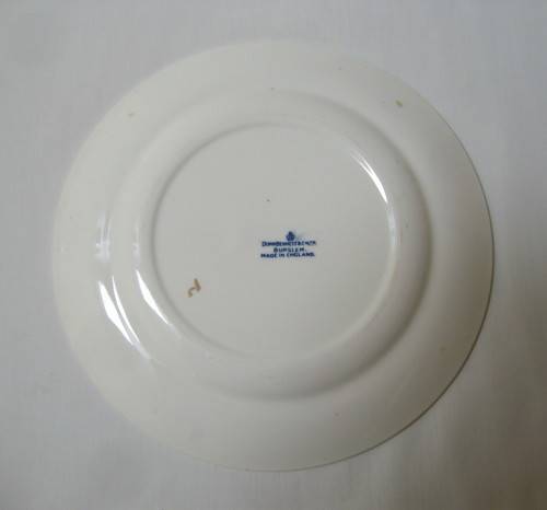 VINTAGE AFRICANA DUNN BENNETT UNION OF SOUTH AFRICA PARLIAMENT 20cm PLATE