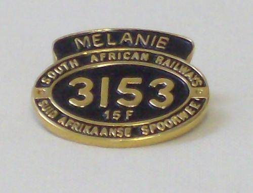 SAR~SAS NUMBERPLATE LAPEL BADGE