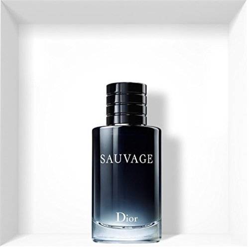 SAUVAGE + FREE GIFT WORTH R150