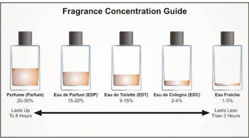 DOLCE & GABBAN LIGHT BLUE MEN GENERIC + FREE GIFT WORTH R150