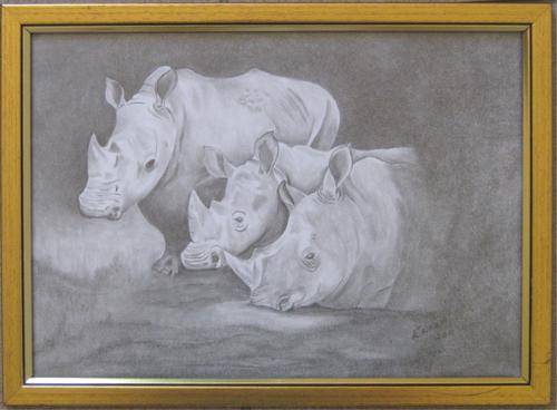 Save the Rhino Framed 32.5cm x 24cm by Eliza