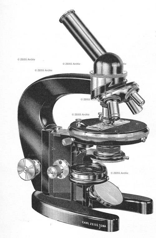 Antique Carl Zeiss Jena Microscope LT Stand 1933