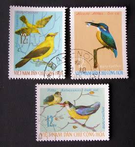 NORTH VIETNAM - Birds 1966
