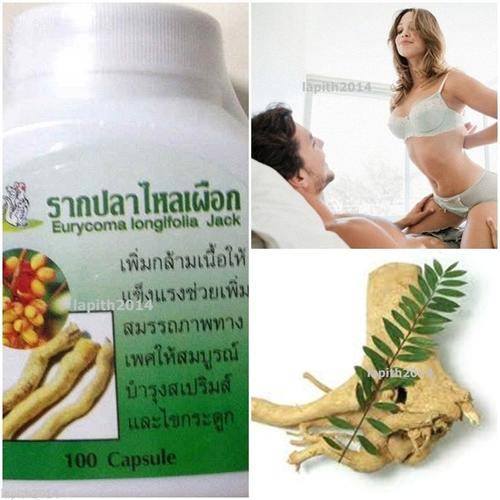 **Free Shipping**MALE SEX HERB TONGKAT ALI LEGAL TESTOSTERONE BOOSTER SEXUAL ENLARGEMENT TRACKING