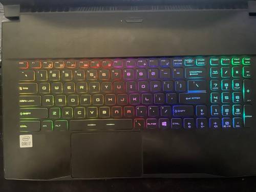 MSI GF75 Thin 10UEK Gaming Laptop