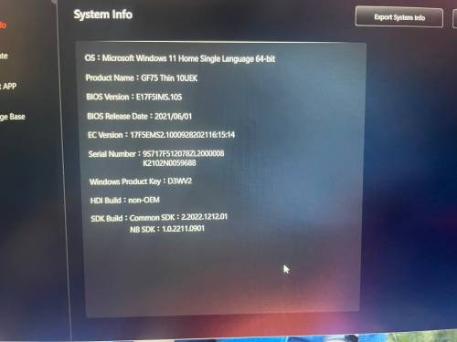 MSI GF75 Thin 10UEK Gaming Laptop