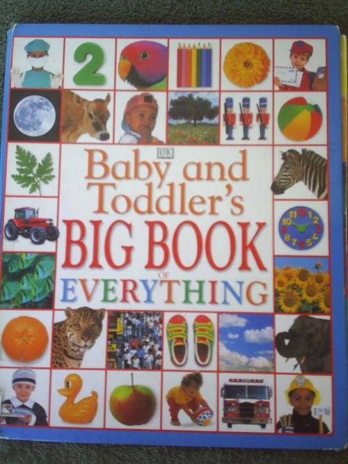Baby And Toddler's Big Book of Everything