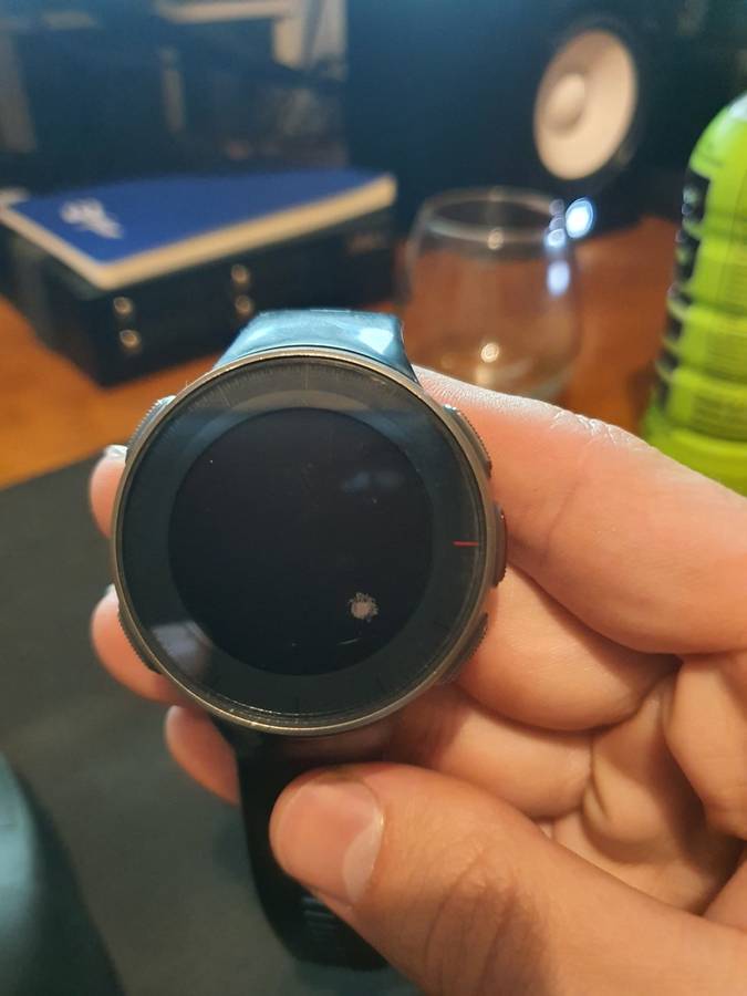 POLAR VANTAGE V