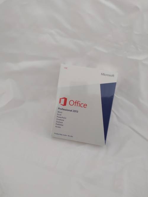 Microsoft Office professional 2013