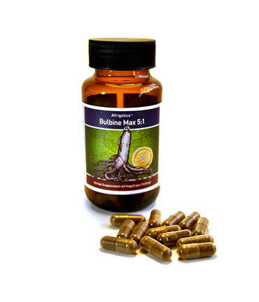 Bulbine natalensis (Testosterone Stimulant ) SIX FOR PRICE OF 5.