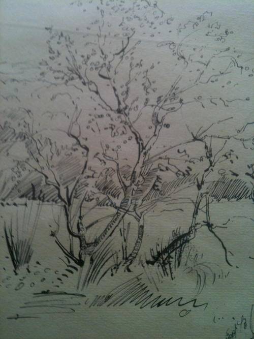 WALTER WESTBROOK ORIGINAL 1973 MARKED SIGNED AND DESCRIBED BY ARTIST.