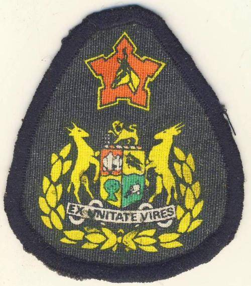 Sergeant major of the Army rank