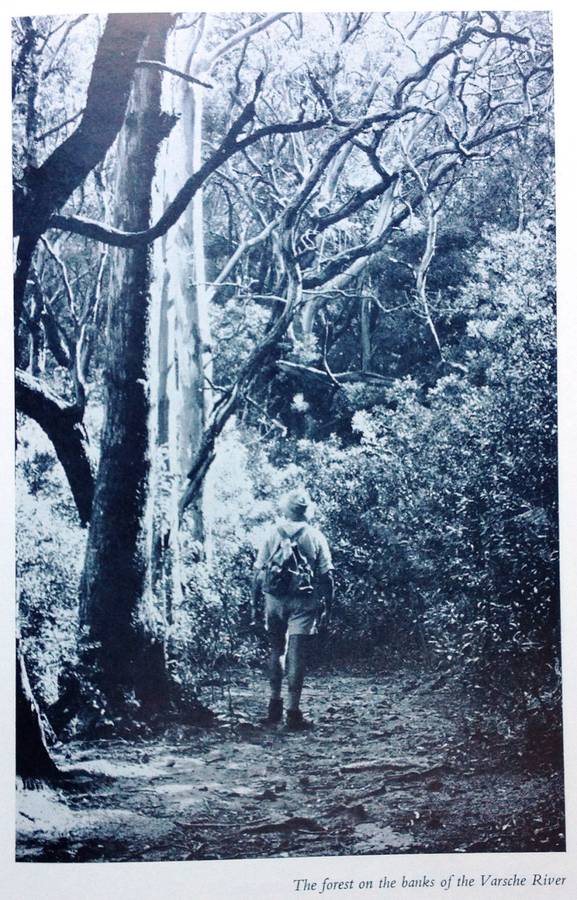 Safe to the Sea - Jose Burman - Hardcover