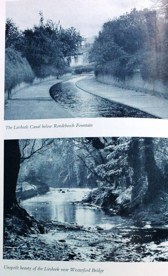 Safe to the Sea - Jose Burman - Hardcover