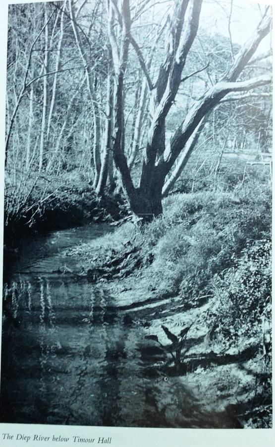 Safe to the Sea - Jose Burman - Hardcover