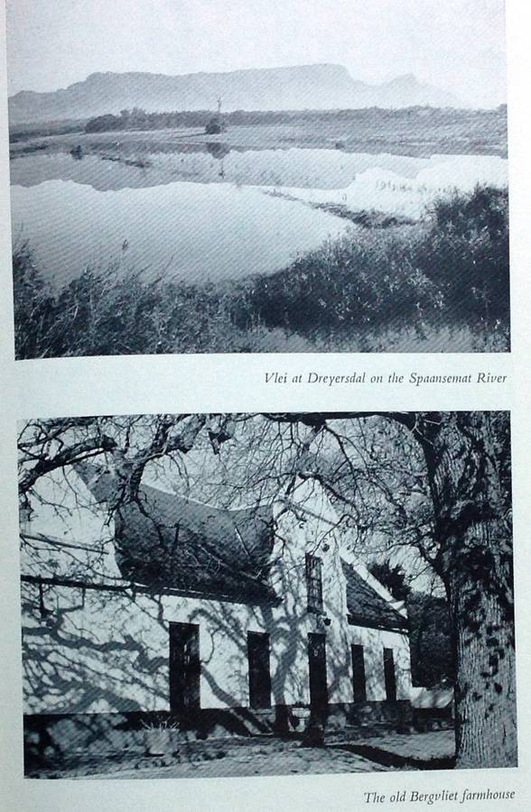 Safe to the Sea - Jose Burman - Hardcover