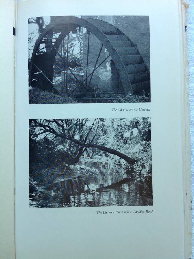 Safe to the Sea - Jose Burman - Hardcover