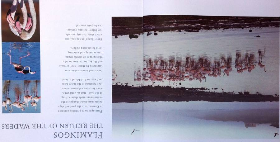 The Story of Kommetjie-A Coastal Village-Hardcover-M Metcalf, D Duffett, R Bain-signed by Authors