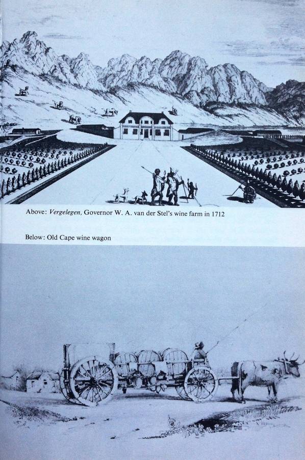 300 Years of Cape Wine - C Louis Leipoldt - Hardcover
