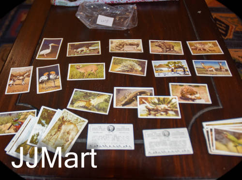 44 X Vintage Cigarette Cards SA National parks - 1940!