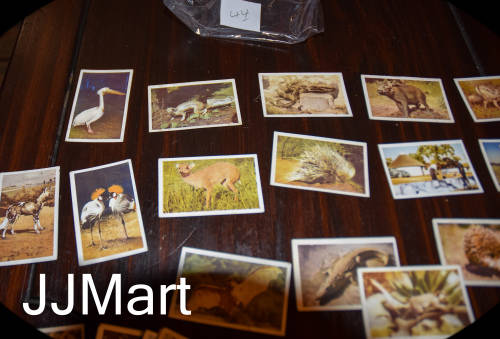44 X Vintage Cigarette Cards SA National parks - 1940!
