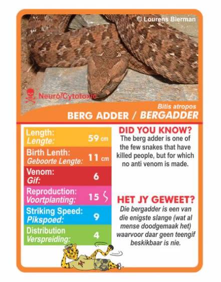 MENZO - Stat-it with Menzo Educational Wildlife SNAKE Card Games (Bilingual)