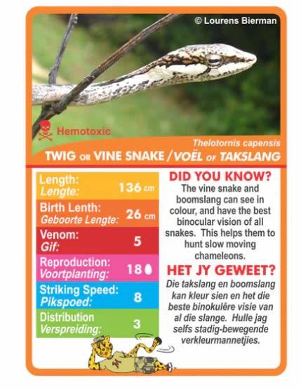 MENZO - Stat-it with Menzo Educational Wildlife SNAKE Card Games (Bilingual)