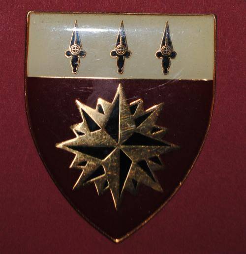 1 Special Forces / Recce (post 1994 rationalisation)